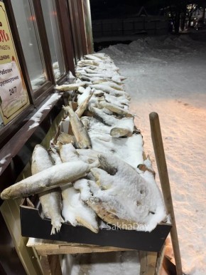 Распродажа рыбы и фруктов под снегом в Алдане