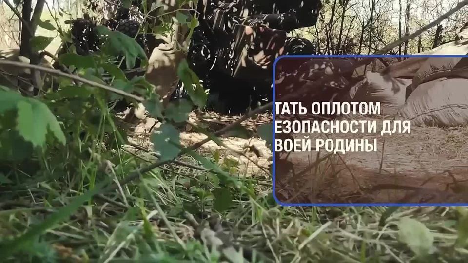 Найди свое призвание!. Знать, что нужна помощь, не остаться равнодушным и найти силы помочь – вот, что отличает сына, отца, мужа, защитника Родины