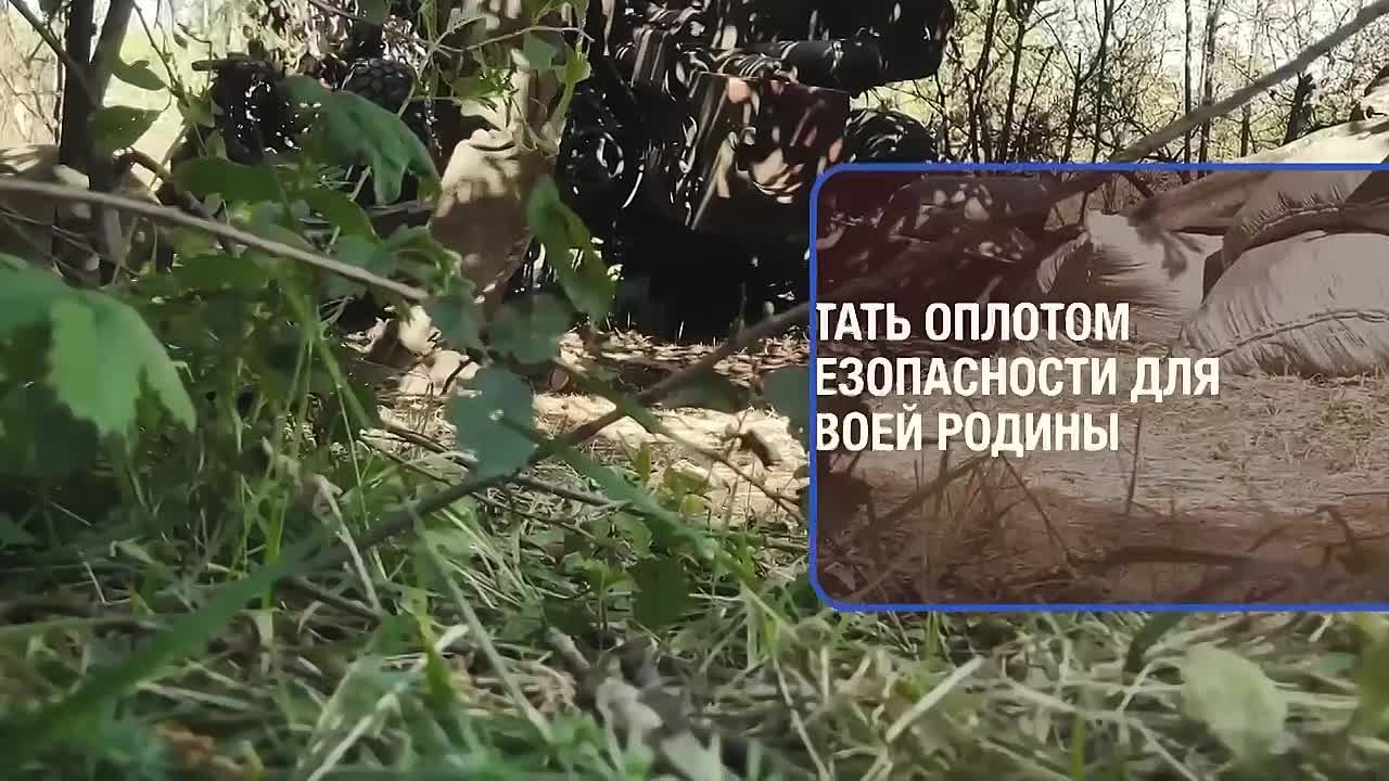 Найди свое призвание!. Знать, что нужна помощь, не остаться равнодушным и найти силы помочь – вот, что отличает сына, отца, мужа, защитника Родины