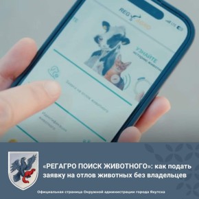 «РЕГАГРО ПОИСК ЖИВОТНОГО»: как подать заявку на отлов животных без владельцев