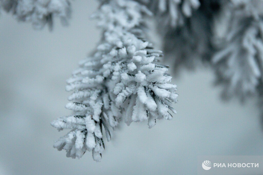 Морозы до минус 50 градусов ударили в России, сообщают синоптики