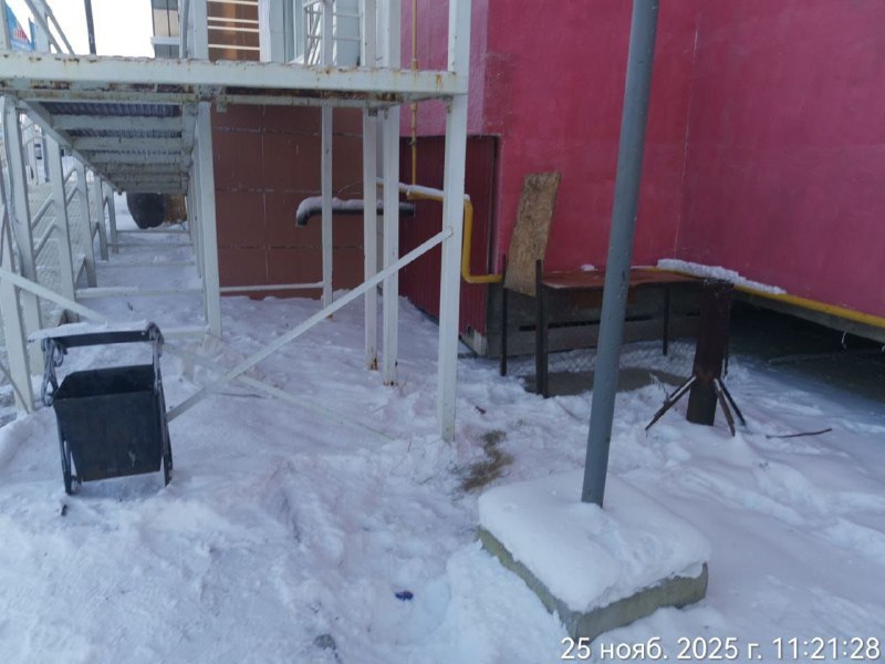 Работа по отлову безнадзорных собак в Сайсарском округе продолжается Работа по отлову безнадзорных собак в Сайсарском округе продолжается