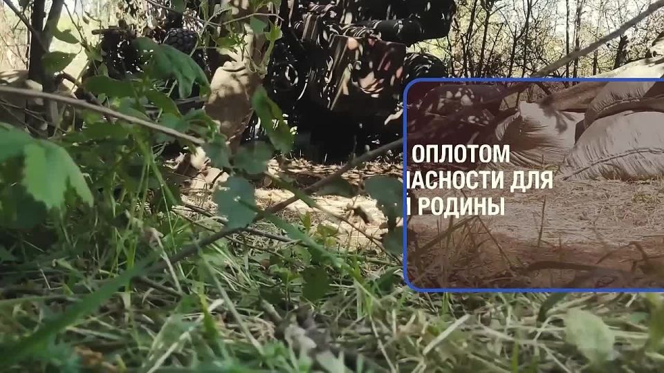 Найди свое призвание!. Знать, что нужна помощь, не остаться равнодушным и найти силы помочь – вот, что отличает сына, отца, мужа, защитника Родины