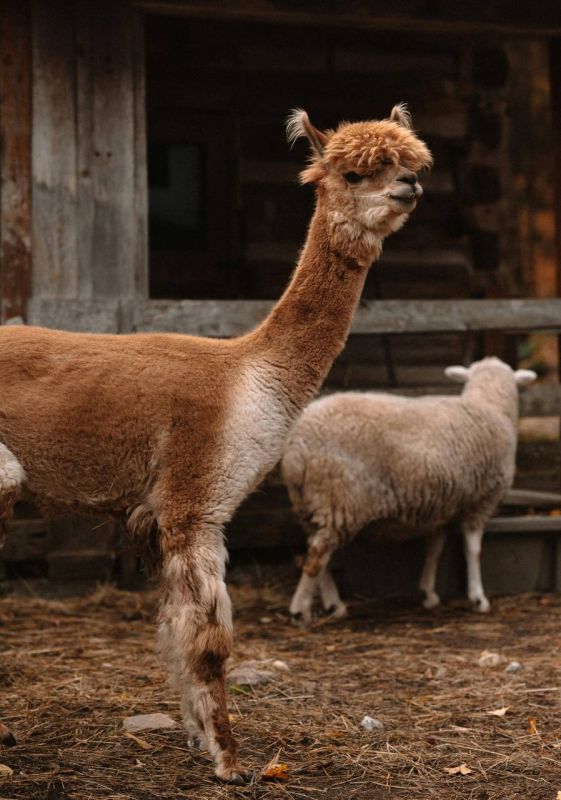 Как выгодно тратить баллы нашей программы лояльности
