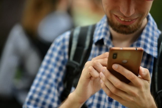 В Якутии запустили приложение для отлова безнадзорных животных