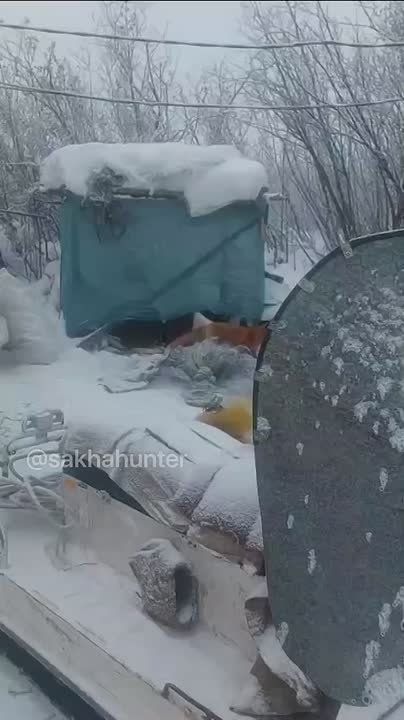 #Пушистыеновости: К рыбакам в гости наведалась лиса