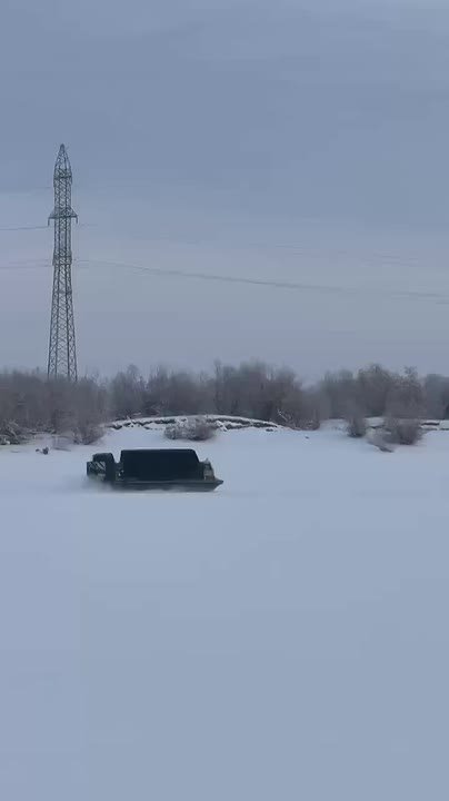 Необычная подушка #дляsakhaday