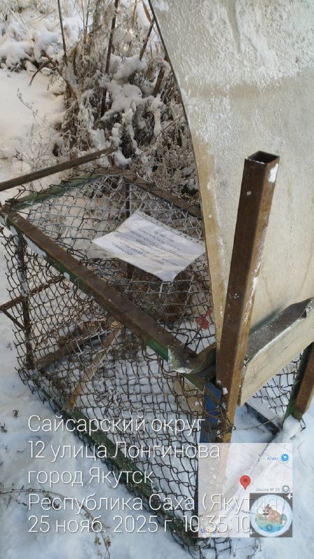 Работа по отлову безнадзорных собак в Сайсарском округе продолжается Работа по отлову безнадзорных собак в Сайсарском округе продолжается