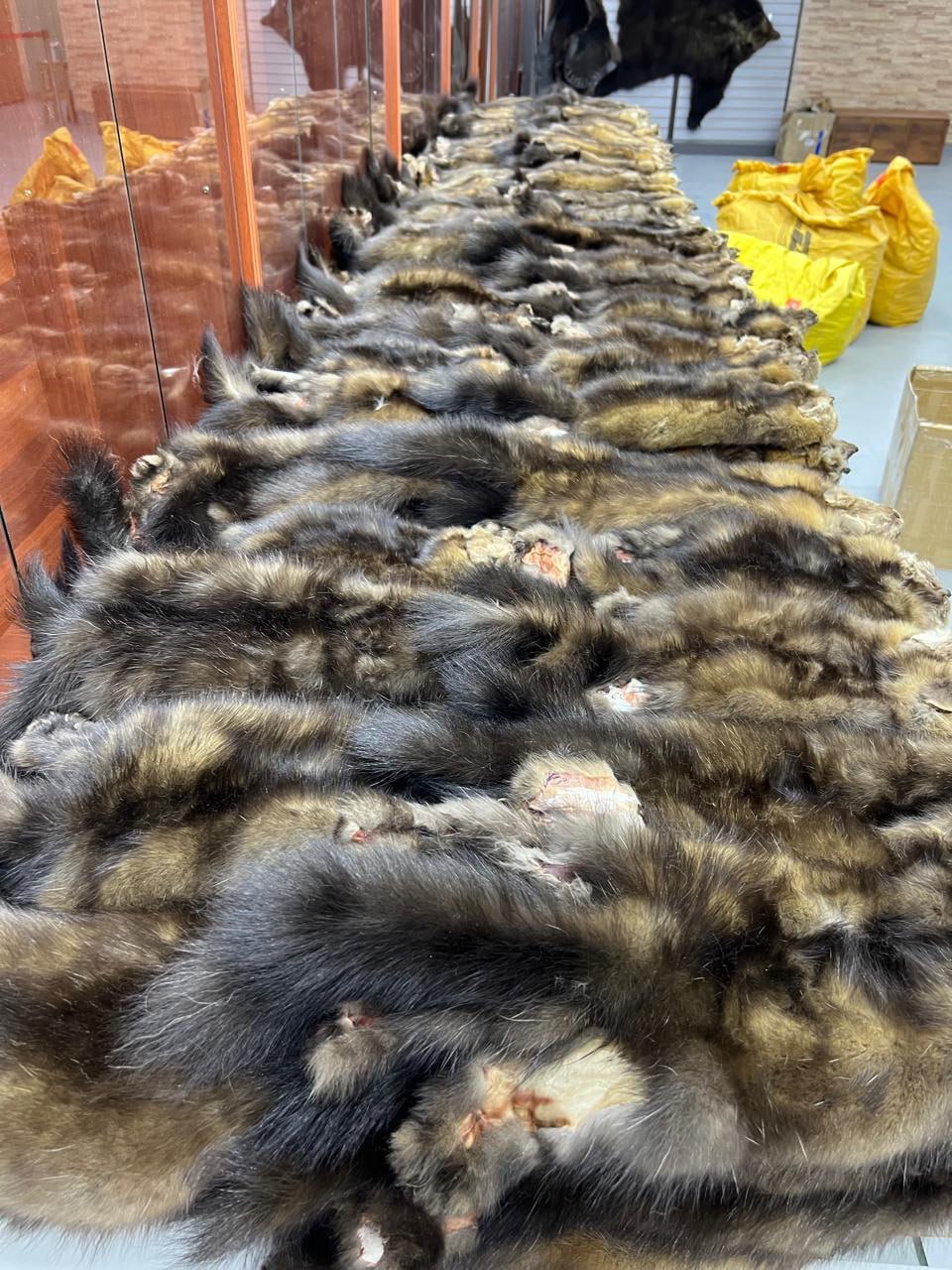 Егор Андросов: “Бииги булчут птэнэригэр лэлиибит” Егор Андросов: “Бииги булчут птэнэригэр лэлиибит”