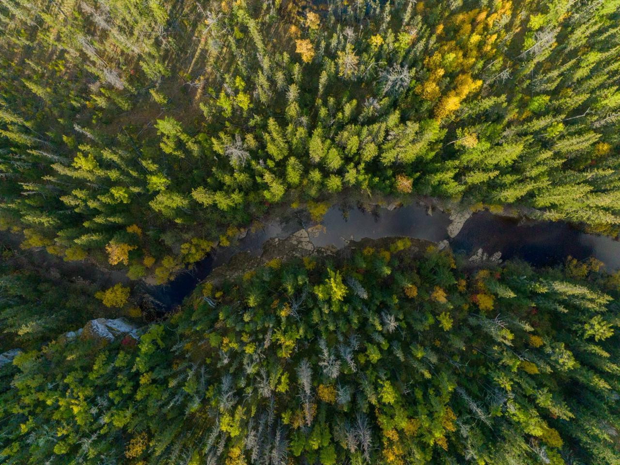 АЛРОСА представила уникальные климатические технологии на VI Северном форуме