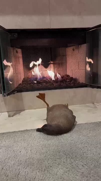 Хотелось бы в четверг просыпаться именно так, а не вот это вот всё