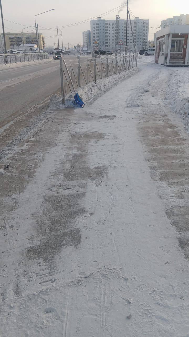 Ежедневная работа муниципальных дворников по уборке снега и мусора на территории Автодорожного округа Ежедневная работа муниципальных дворников по уборке снега и мусора на территории Автодорожного округа