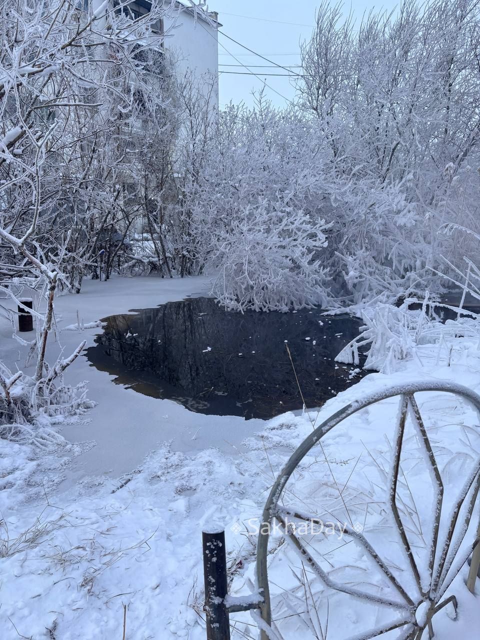 Прорыв канализации на Семена Данилова 36. #отподписчика Прорыв канализации на Семена Данилова 36. #отподписчика