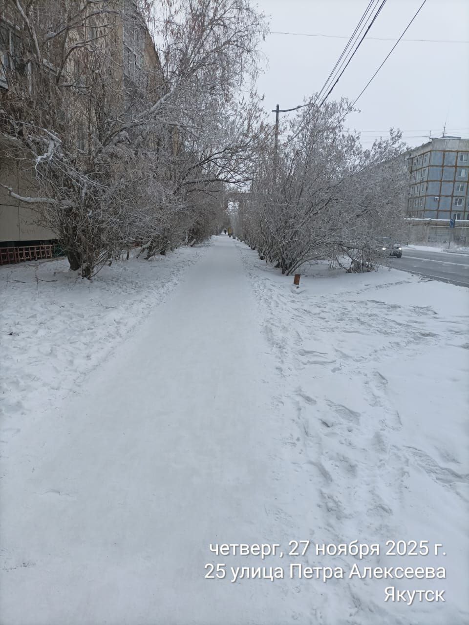 Ежедневная работа муниципальных дворников Ежедневная работа муниципальных дворников