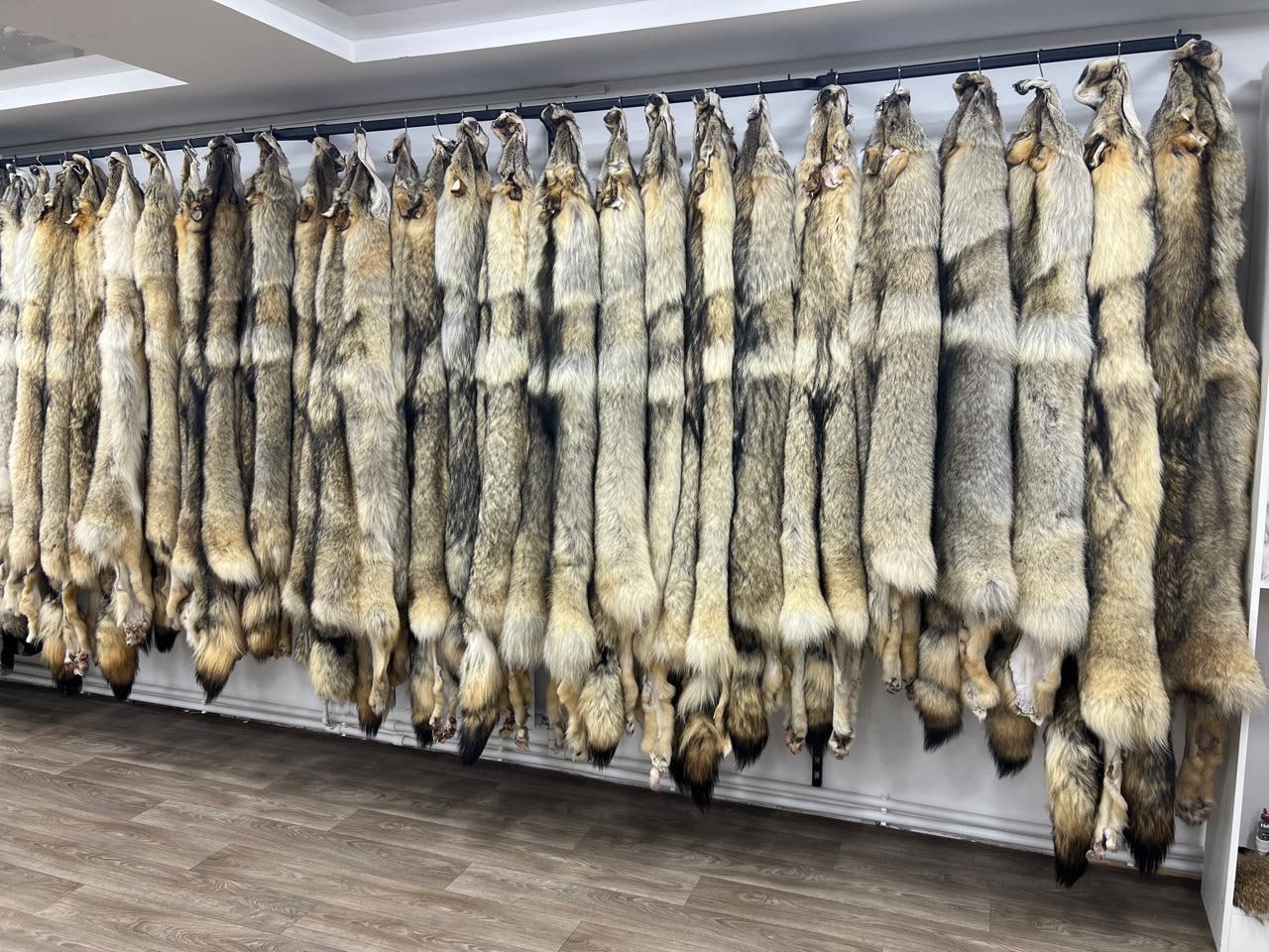 Егор Андросов: “Бииги булчут птэнэригэр лэлиибит” Егор Андросов: “Бииги булчут птэнэригэр лэлиибит”