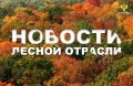 ТАСС: Рослесхоз готов за 3-5 лет восстановить леса Донбасса и Новороссии