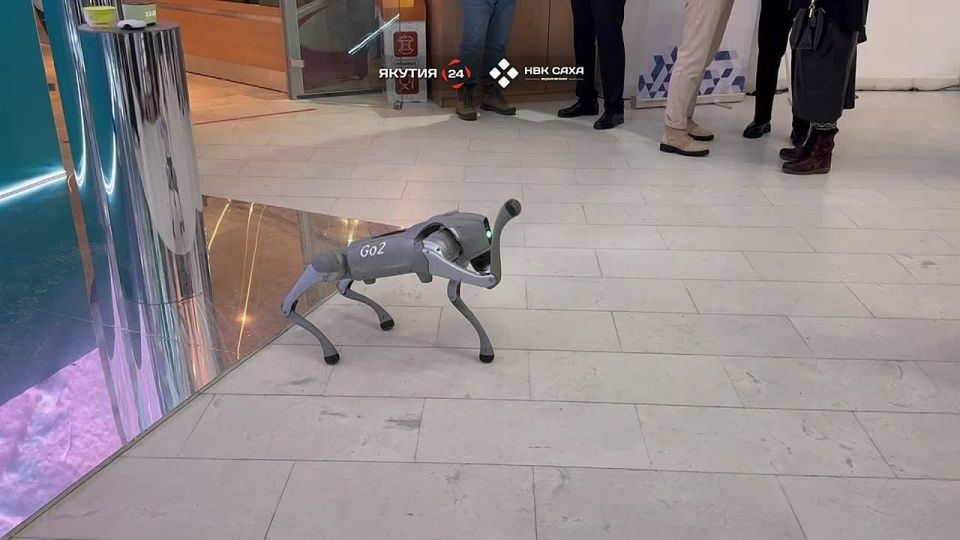 #Видеофакт: Робот-собака от китайского разработчика «Unitree» на «Цифровом алмазе»