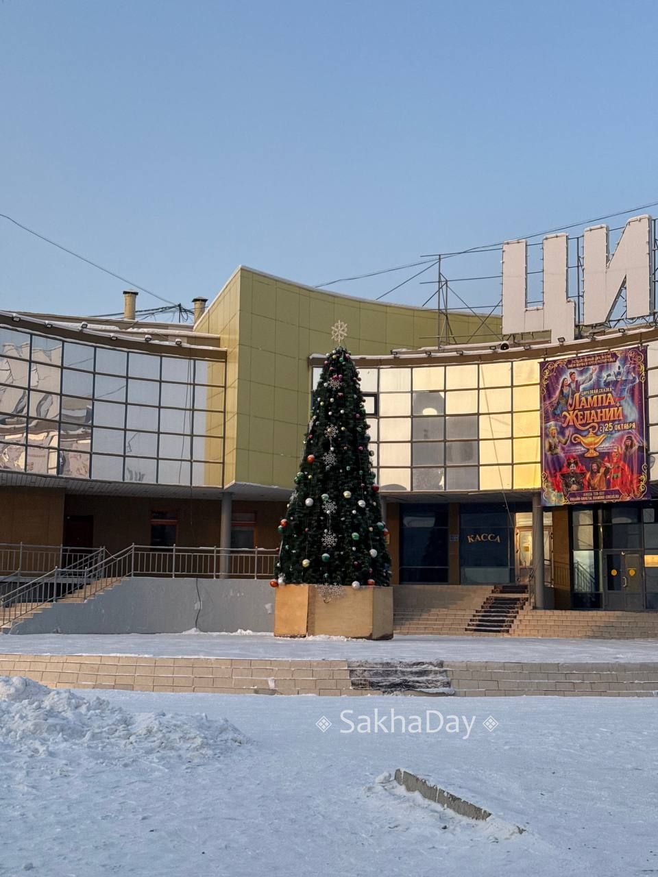 Милая елочка у Цирка. #дляsakhaday