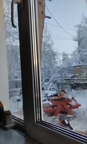 Спасибо, спасибо заботливой хозяйке