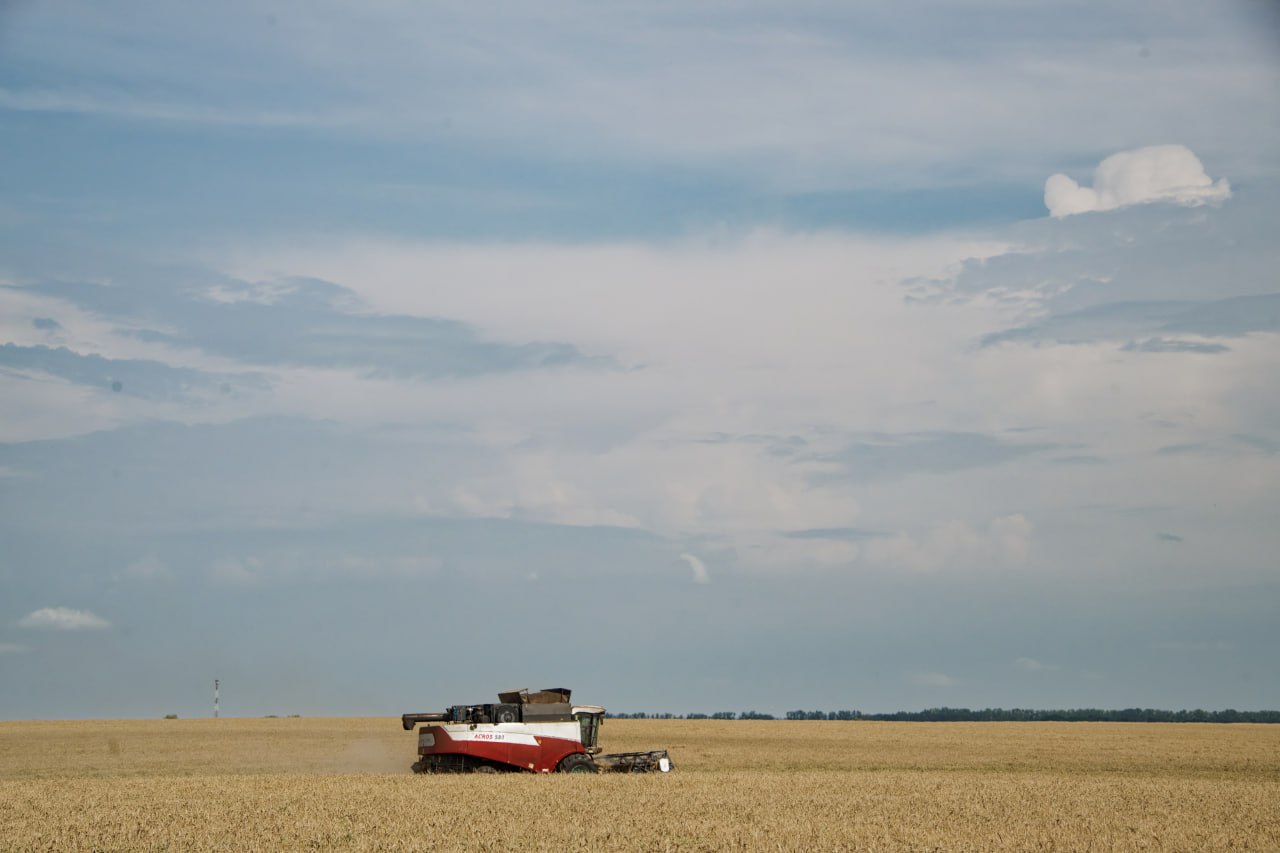 Россельхознадзор обследовал 3,6 млн га в Якутии в рамках фитосанитарного мониторинга