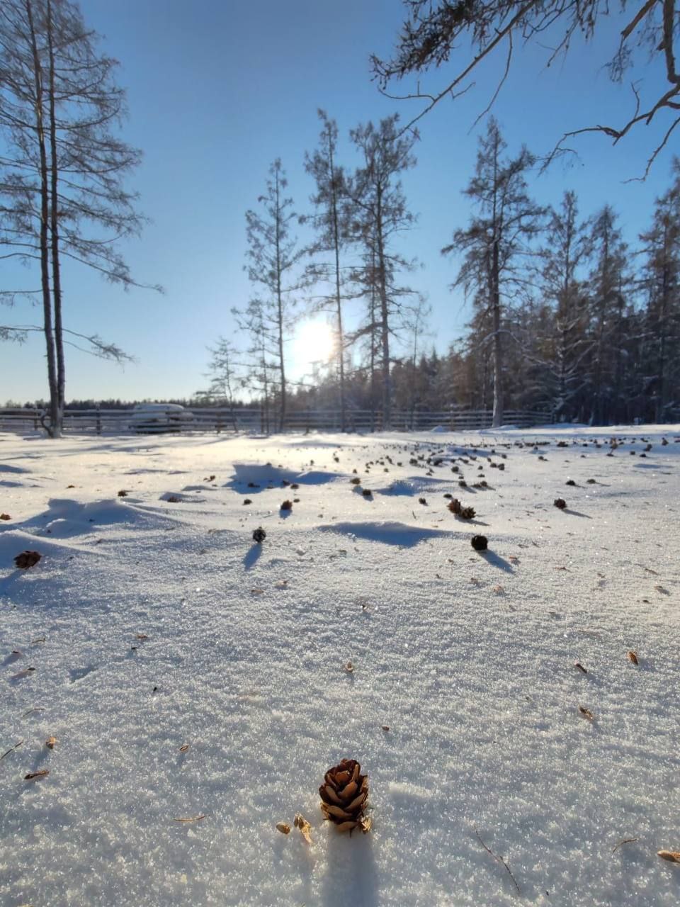 Лаврентьева Александра Николаевна с дочкой Николиной на заготовке льда Лаврентьева Александра Николаевна с дочкой Николиной на заготовке льда