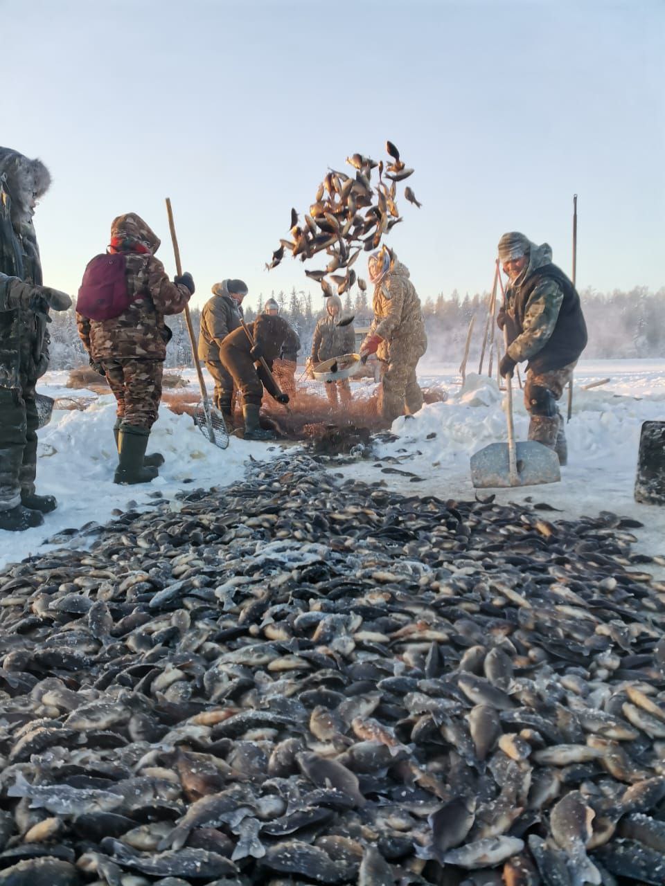 Лаврентьева Александра Николаевна с дочкой Николиной на заготовке льда Лаврентьева Александра Николаевна с дочкой Николиной на заготовке льда