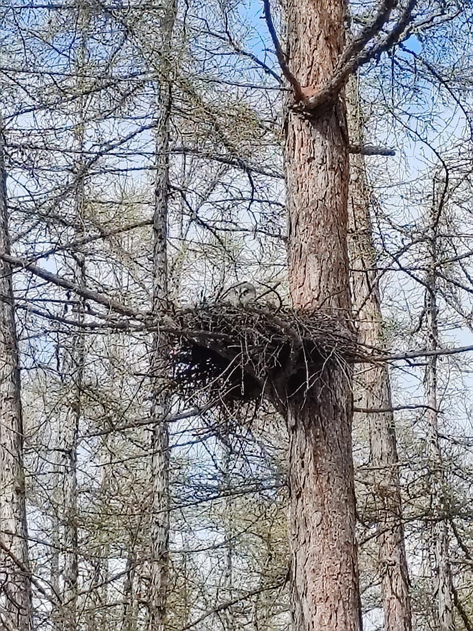 Лаврентьева Александра Николаевна с дочкой Николиной на заготовке льда Лаврентьева Александра Николаевна с дочкой Николиной на заготовке льда