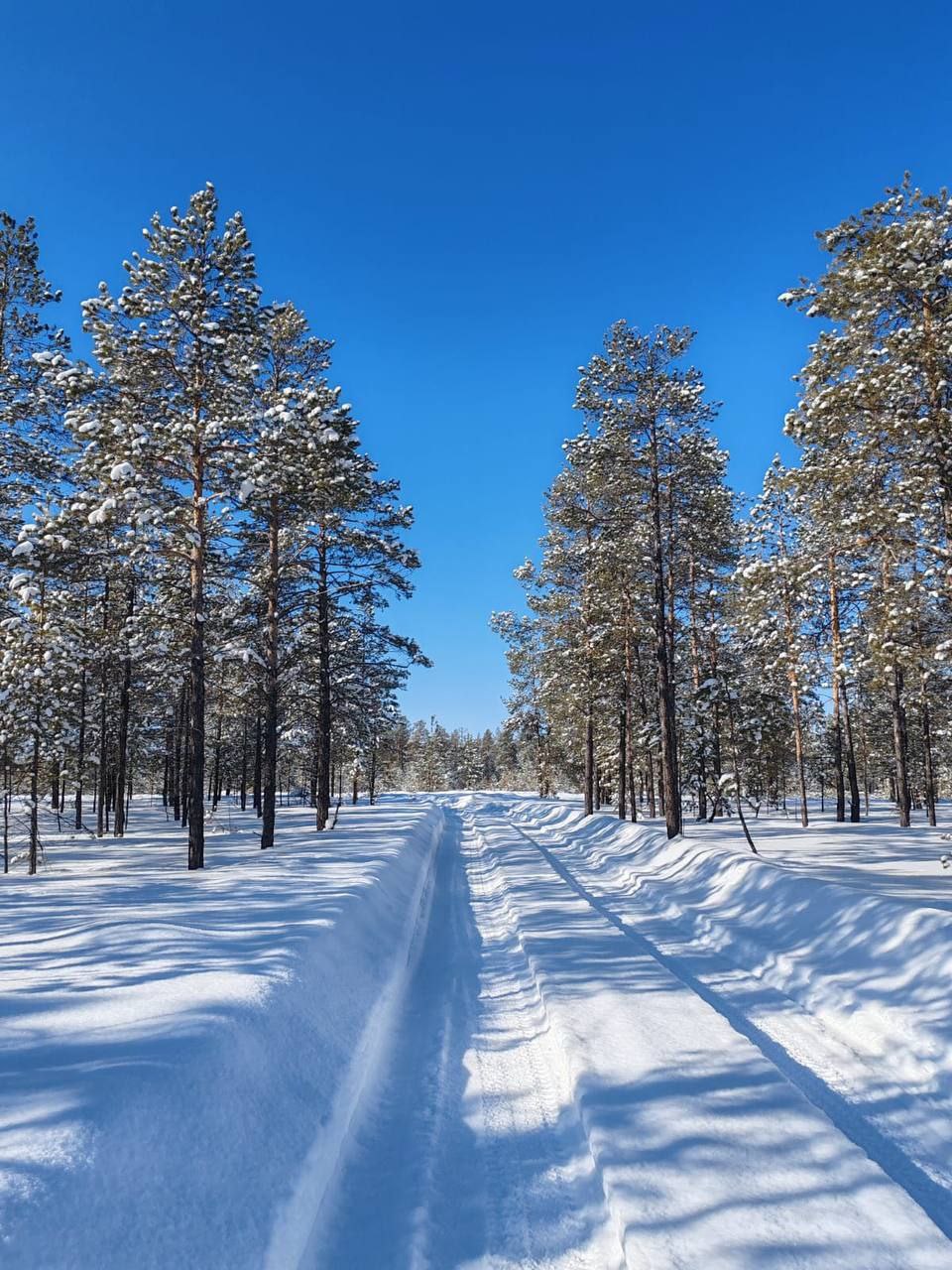 Лаврентьева Александра Николаевна с дочкой Николиной на заготовке льда Лаврентьева Александра Николаевна с дочкой Николиной на заготовке льда