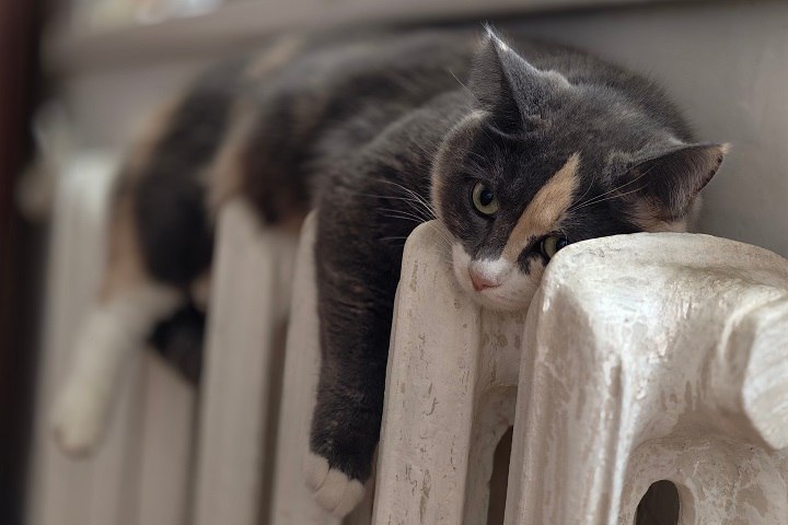 Жители десяти домов остались без отопления в Якутске