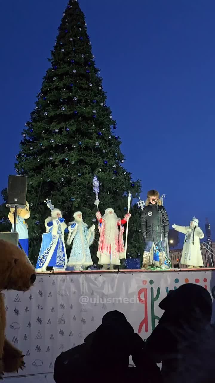 Старт новогоднему волшебству дан! В Якутске зажгли первую в России ёлку