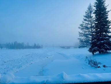 Новые законы с декабря 2025 года: что изменилось для россиян