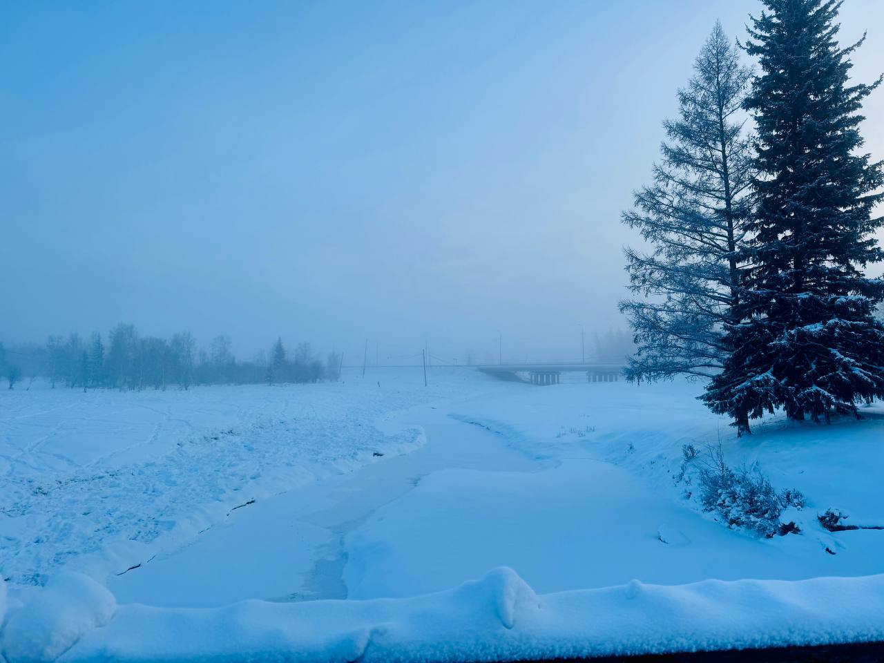 Новые законы с декабря 2025 года: что изменилось для россиян