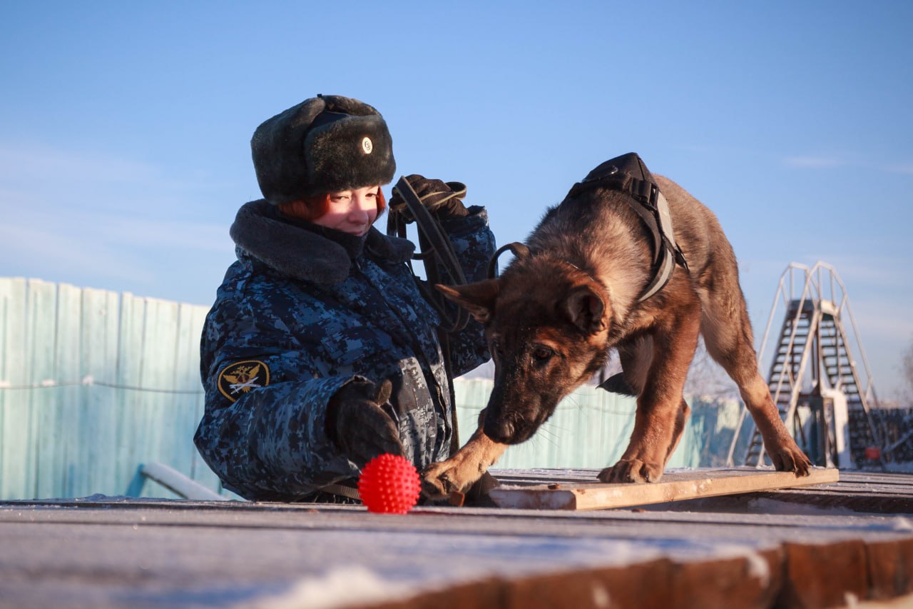 #Пушистыеновости: Новые четвероногие помощники прибыли в УФСИН России по Якутии
