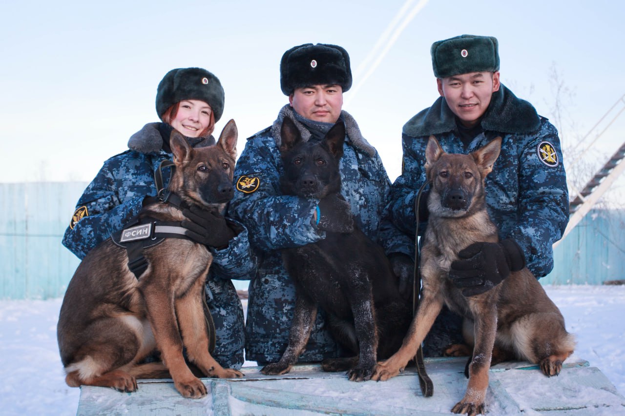 #Пушистыеновости: Новые четвероногие помощники прибыли в УФСИН России по Якутии #Пушистыеновости: Новые четвероногие помощники прибыли в УФСИН России по Якутии