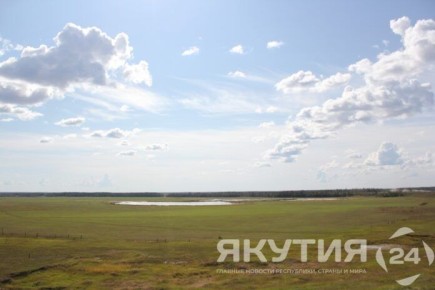 Владельцы «гектаров» активно поддерживают участников СВО