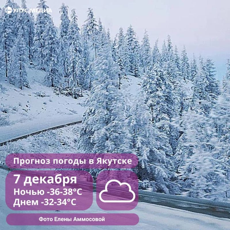 Небольшой снег, на побережье сильный ветер и метели: о погоде в Якутии 7 декабря