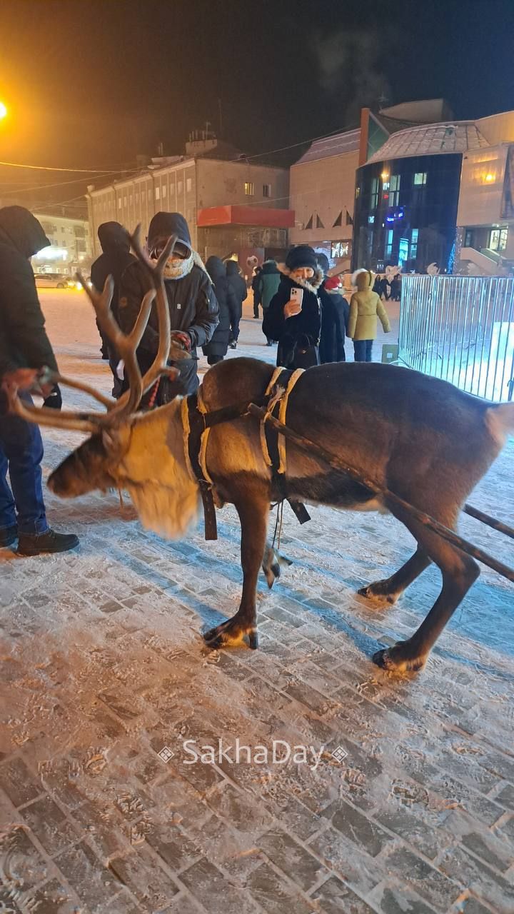 Новогодняя красота на площади в Якутске #дляsakhaday Новогодняя красота на площади в Якутске #дляsakhaday