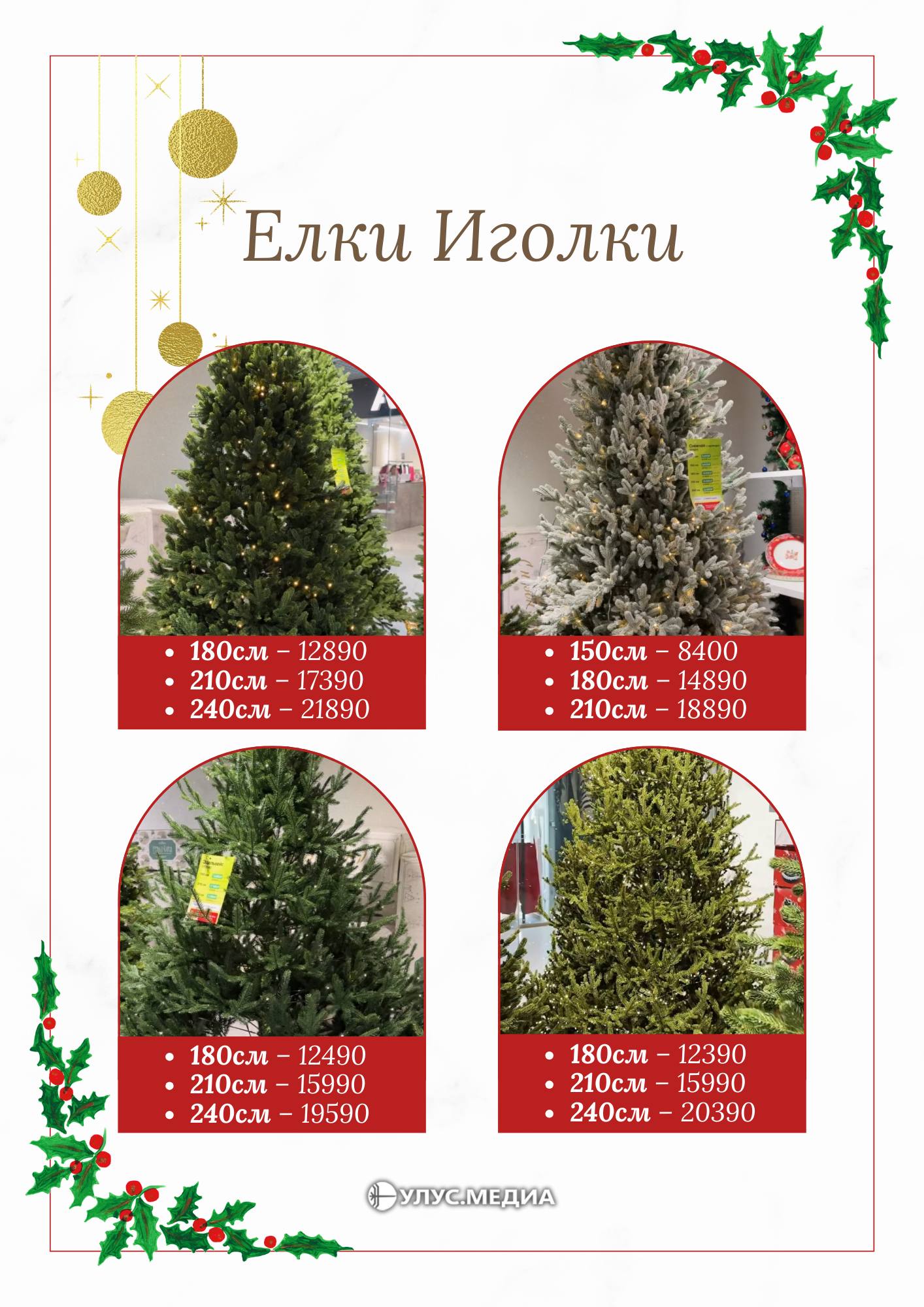 Готовимся к Новому году: сколько стоят ёлки в Якутске? Готовимся к Новому году: сколько стоят ёлки в Якутске?