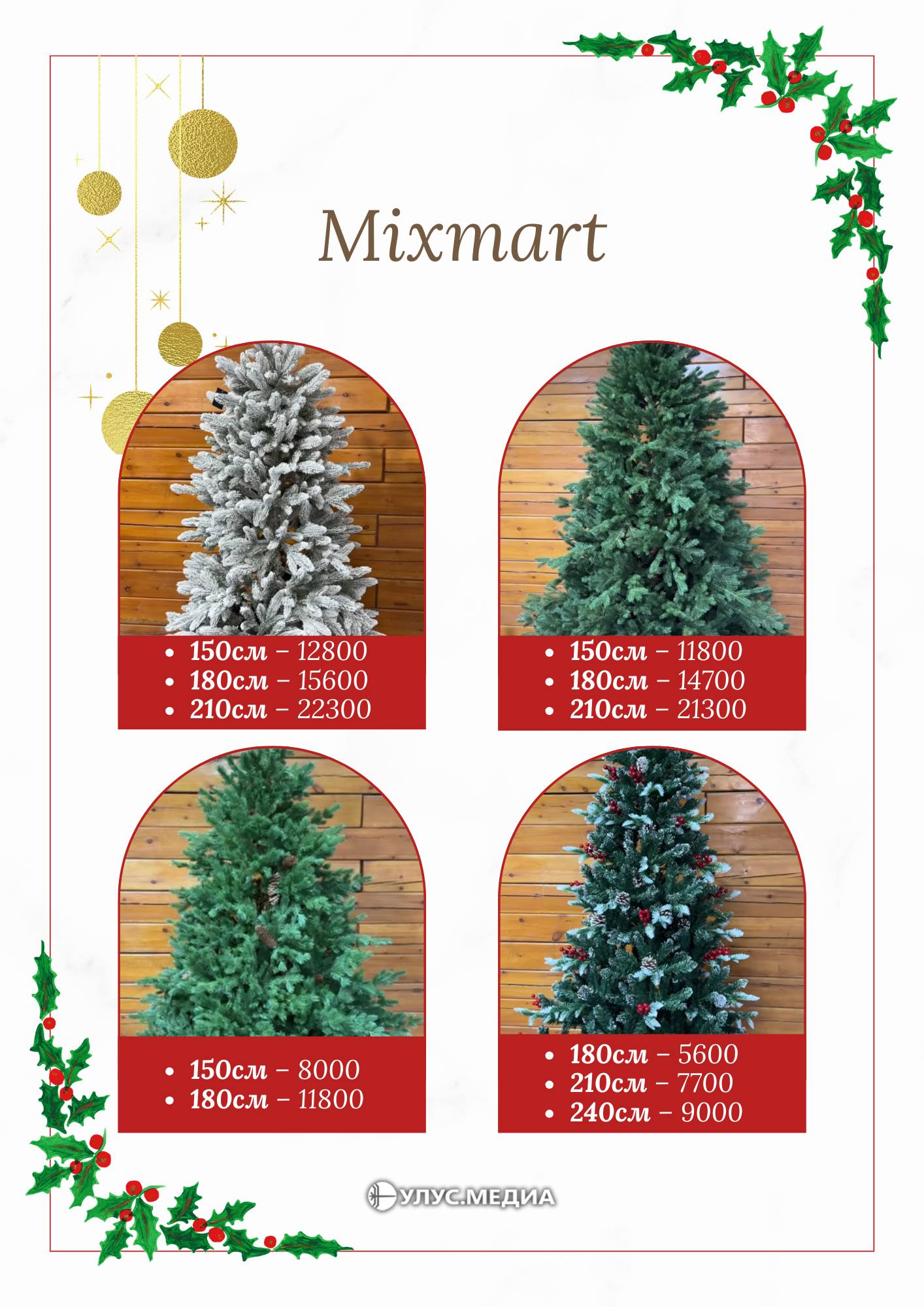 Готовимся к Новому году: сколько стоят ёлки в Якутске? Готовимся к Новому году: сколько стоят ёлки в Якутске?