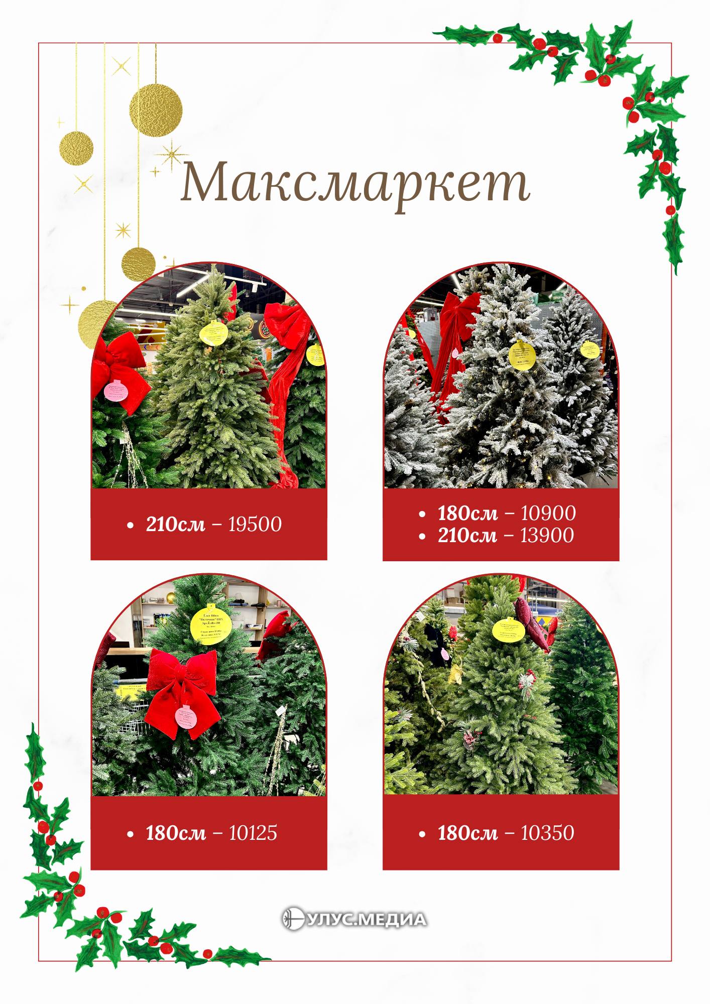 Готовимся к Новому году: сколько стоят ёлки в Якутске? Готовимся к Новому году: сколько стоят ёлки в Якутске?