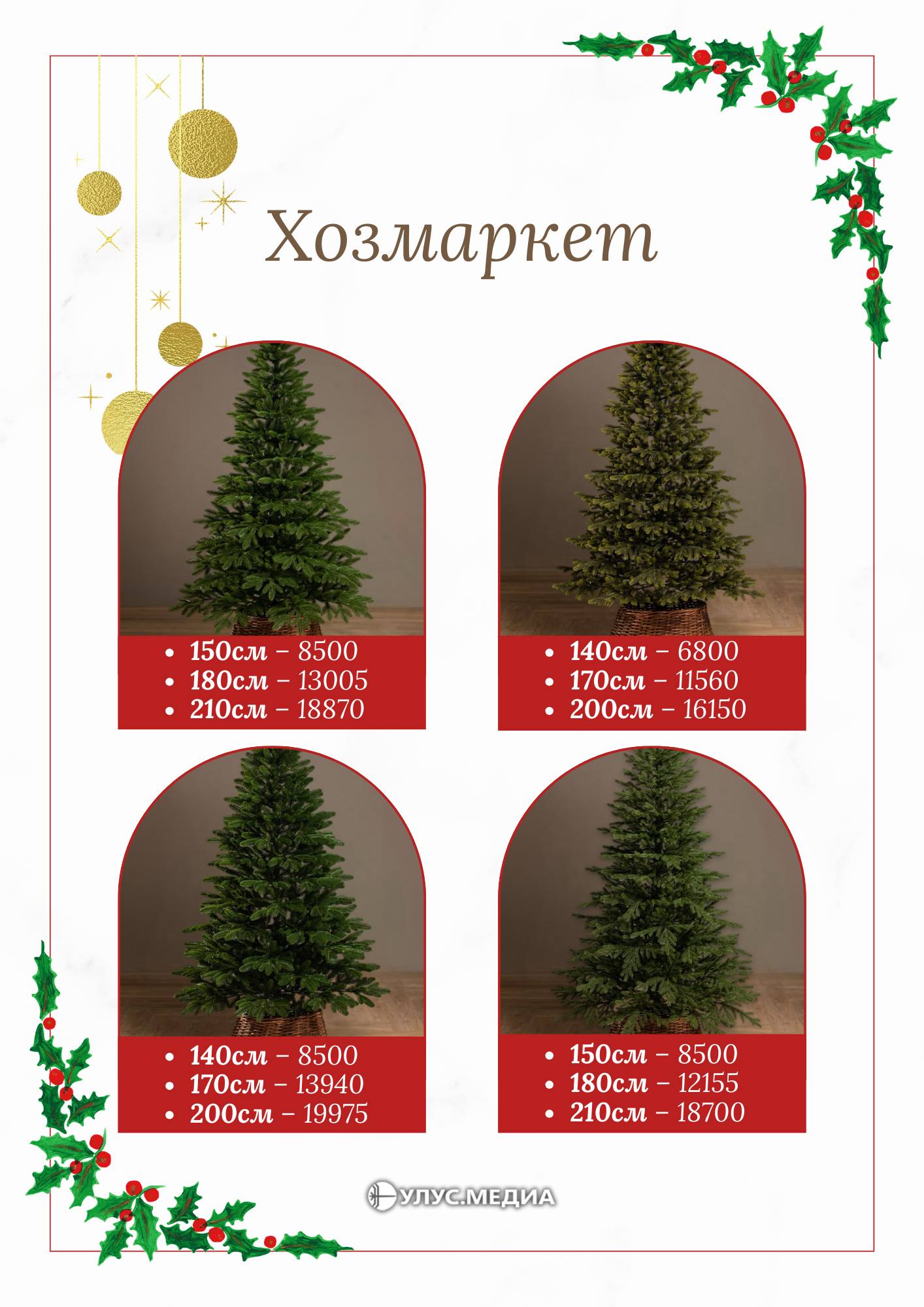 Готовимся к Новому году: сколько стоят ёлки в Якутске? Готовимся к Новому году: сколько стоят ёлки в Якутске?