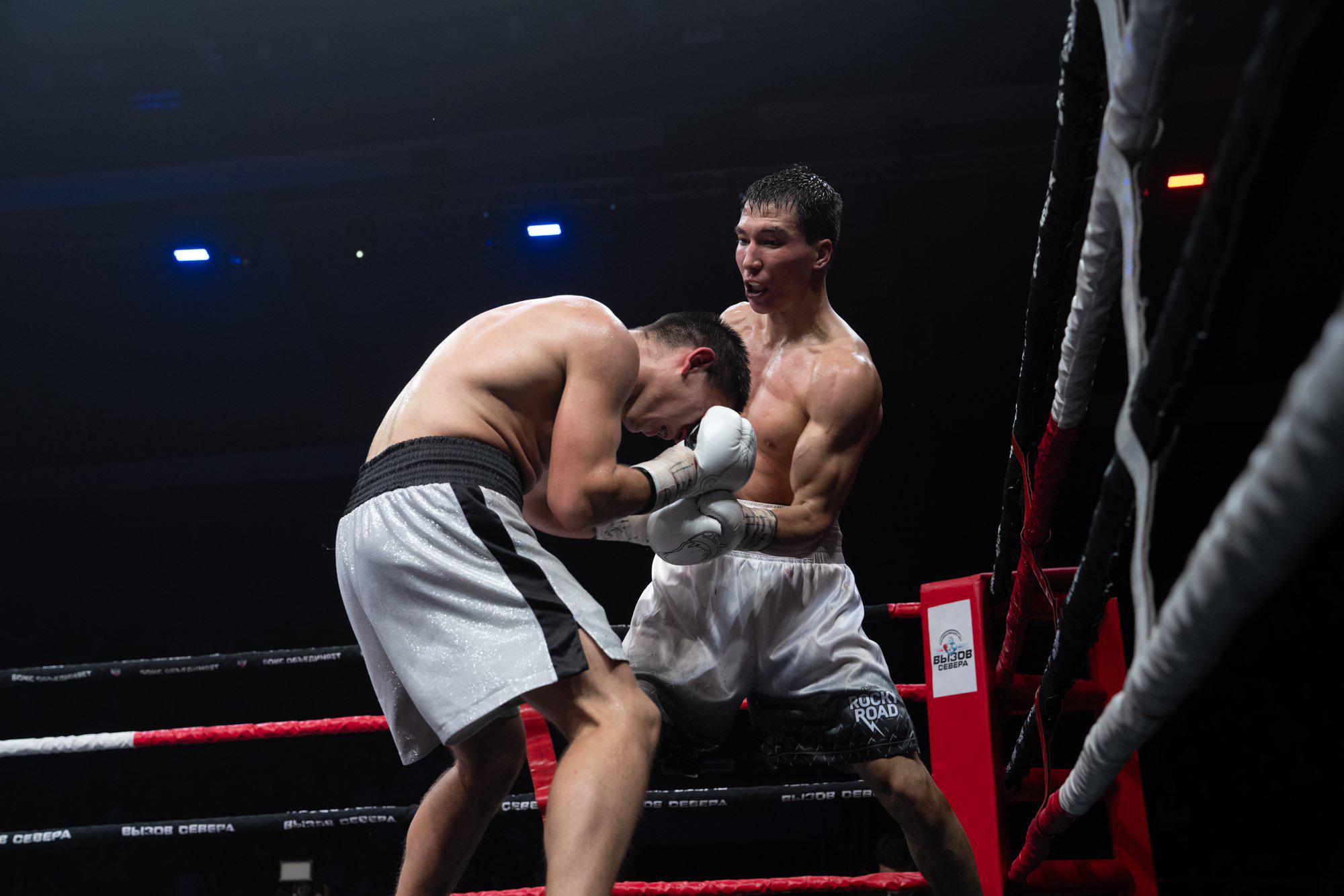 урнир по профессиональному боксу «Вызов Севера», собравший сильнейших спортсменов и заметных представителей российского бокса урнир по профессиональному боксу «Вызов Севера», собравший сильнейших спортсменов и заметных представителей российского бокса