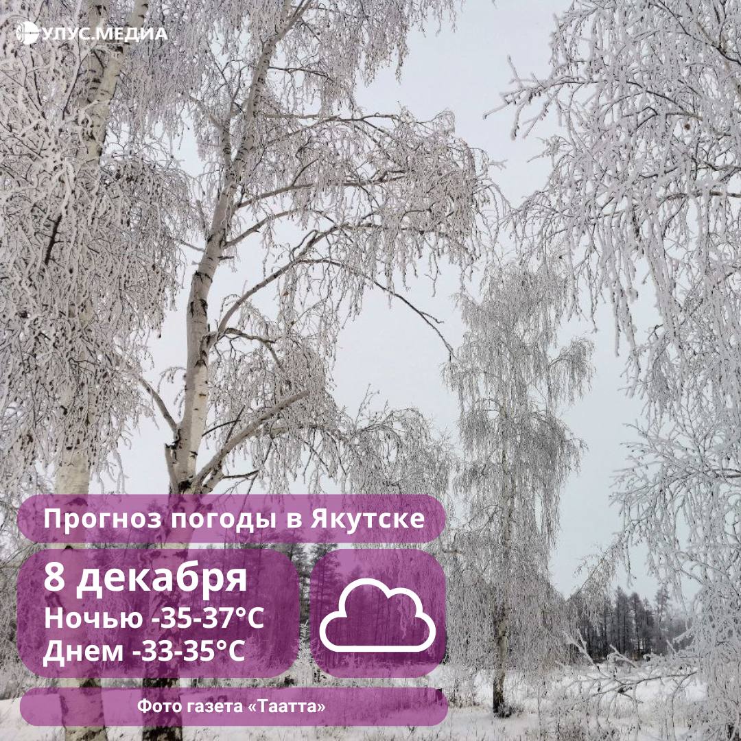 Снег и метели: прогноз погоды в Якутии на 8 декабря