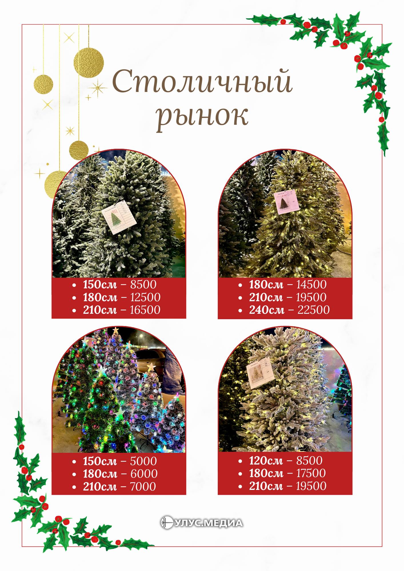 Готовимся к Новому году: сколько стоят ёлки в Якутске?