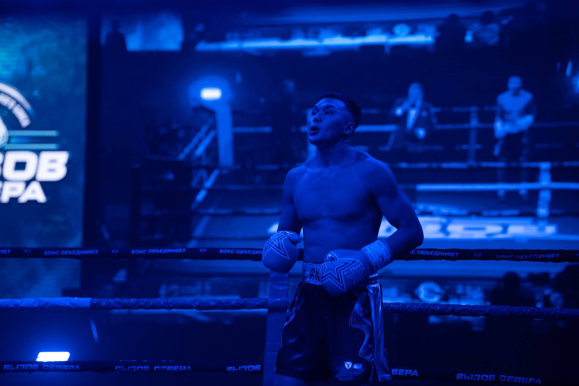 урнир по профессиональному боксу «Вызов Севера», собравший сильнейших спортсменов и заметных представителей российского бокса урнир по профессиональному боксу «Вызов Севера», собравший сильнейших спортсменов и заметных представителей российского бокса