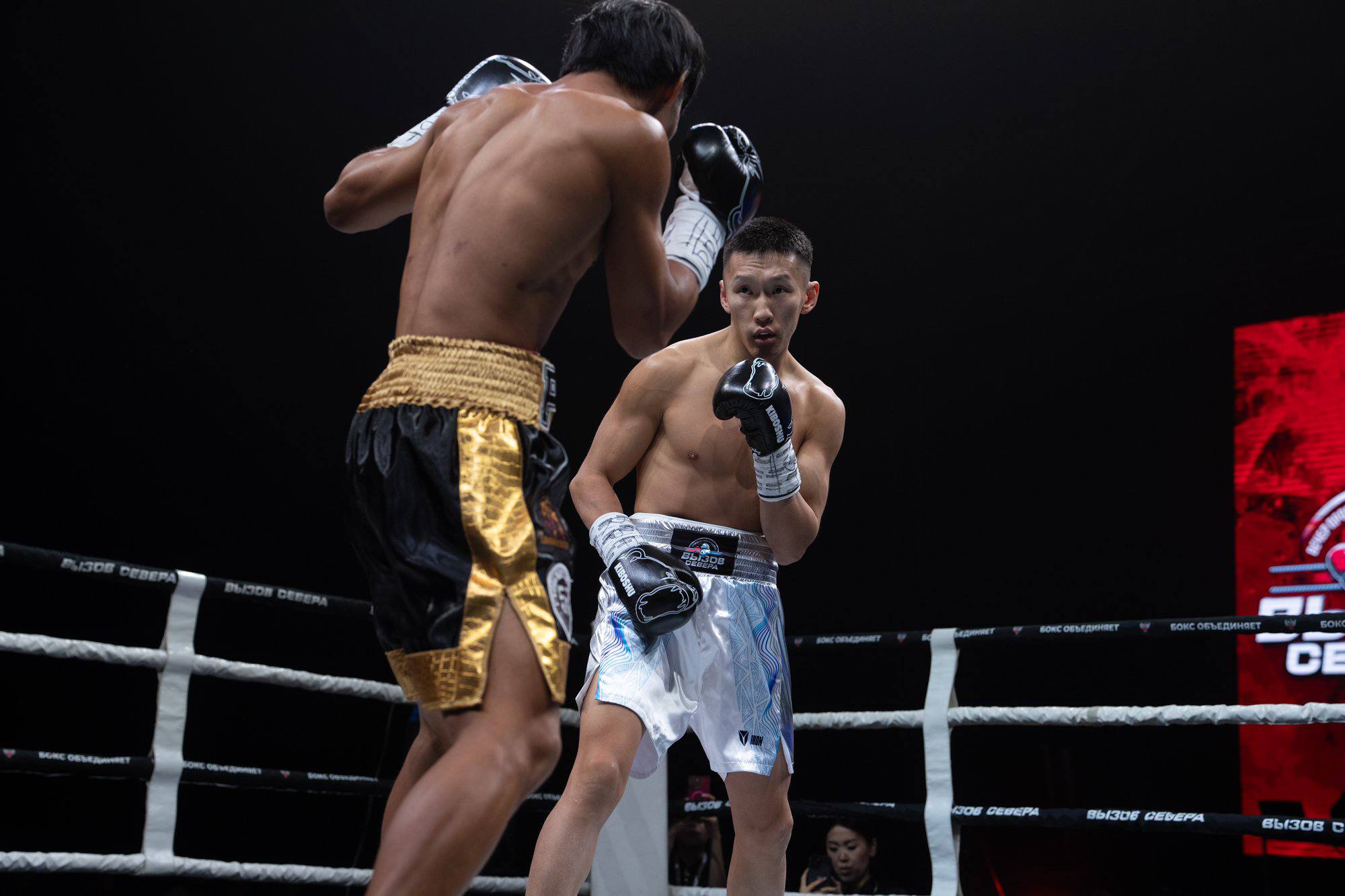 урнир по профессиональному боксу «Вызов Севера», собравший сильнейших спортсменов и заметных представителей российского бокса урнир по профессиональному боксу «Вызов Севера», собравший сильнейших спортсменов и заметных представителей российского бокса