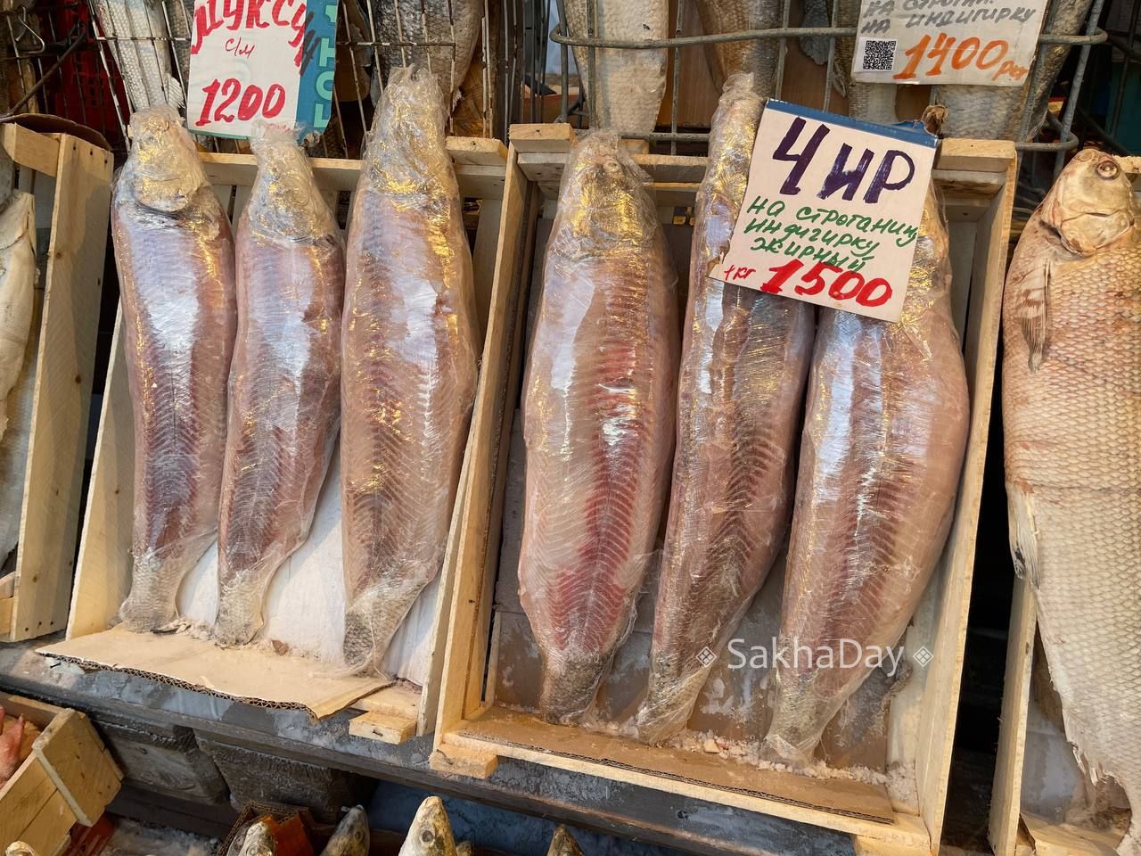 Строганина для ленивых: Уже настрогали и почистили #отподписчика