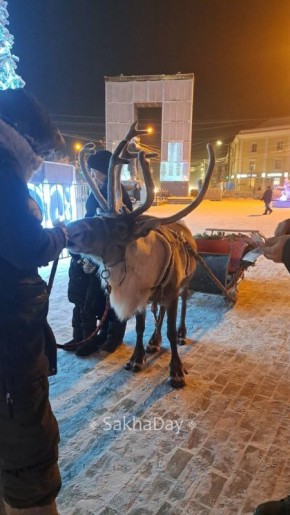 Новогодняя красота на площади в Якутске #дляsakhaday