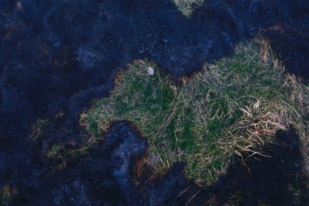 Не вред, а польза. В Якутии обсудили вопрос легализации сельскохозяйственных палов