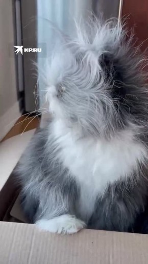 Состояние утром перед рабочим днем у тех, кто до сих пор не спит